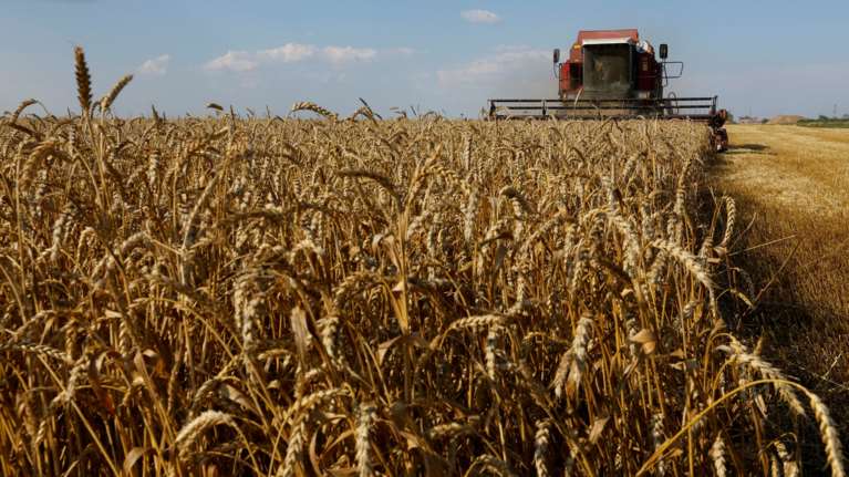 Μετά την έκρηξη στην Κριμαία, η Μόσχα παγώνει τη συμφωνία για τα σιτιρά - Ποιες είναι οι επιπτώσεις στις τιμές των τροφίμων