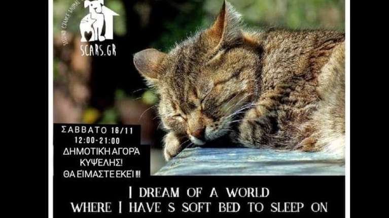 Τι θα κάνετε το Σάββατο 16 Νοεμβρίου; Ραντεβού στη Δημοτική Αγορά Κυψέλης για τον καλύτερο σκοπό