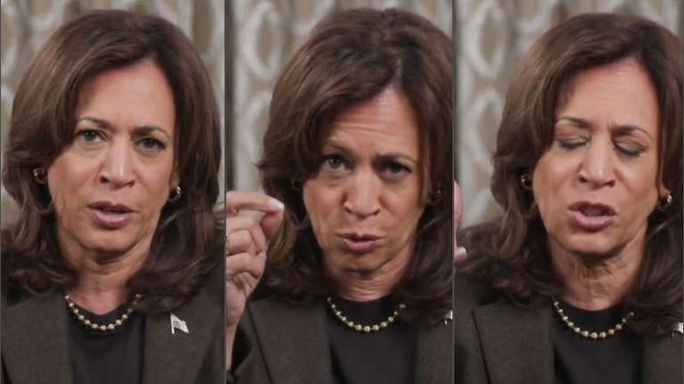Πάρτι στα social με την Κάμαλα Χάρις για το πρώτο βίντεο μετά τη βαριά ήττα από τον Τραμπ: &quot;Μήπως είναι πιωμένη;&quot;