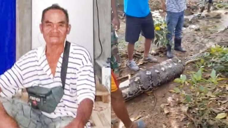Πρωτοφανές περιστατικό: Αγρότης στην Ινδονησία βρέθηκε νεκρός στην κοιλιά πύθωνα [βίντεο]