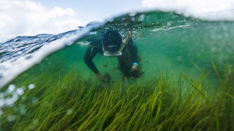 Έφτασε η &quot;Ημέρα της Υπέρβασης&quot; που ο πλανήτης ξεπέρασε τα όριά του: Μέχρι τις 31 Δεκεμβρίου θα ζήσουμε με δανεικά