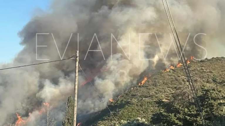 Σε ύφεση η φωτιά στα Μεσοχώρια Ευβοίας: Επιχειρούν εναέρια μέσα, σε επιφυλακή για αναζωπυρώσεις