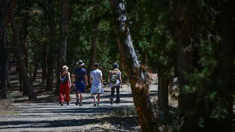 Ποτάσιο: Γιατί μας είναι απαραίτητο - Ποια τρόφιμα το περιέχουν, περισσότερο ακόμη και από τα συμπληρώματα.