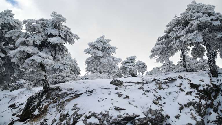 Στα "λευκά" Πάρνηθα και Πεντέλη - Πολύ χαμηλές θερμοκρασίες και τσουχτερό κρύο [βίντεο]