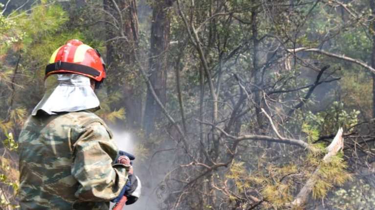 Τραγωδία στη Θεσσαλονίκη: Νεκρός πυροσβέστης στη φωτιά στο Ωραιόκαστρο - Υπέστη ανακοπή καρδιάς