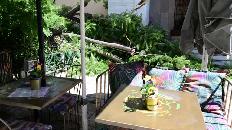 Μοναστηράκι: Συγκλονίζει η 53χρονη που τραυματίστηκε από την πτώση δέντρου - &quot;Εχασα πολύ αίμα, χρειάστηκαν ράμματα στο κεφάλι&quot;