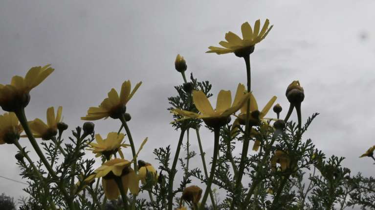 Αστατος ο καιρός μέχρι το Μεγάλο Σάββατο - Ανάσταση με βροχές, αλλάζει το σκηνικό την Κυριακή του Πάσχα
