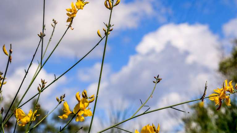 Καιρός: Βροχερό το Μεγάλο Σάββατο - Πώς θα ψήσουμε τον οβελία την Κυριακή του Πάσχα, αναλυτικά η πρόγνωση ανά περιοχή