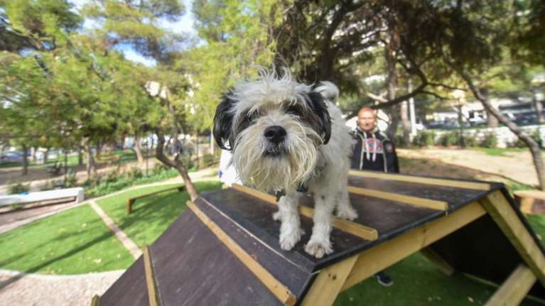 Δήμος Αθηναίων: Δύο νέα πάρκα αποκλειστικά για σκύλους σε Προμπονά και Νέο Κόσμο [εικόνες]