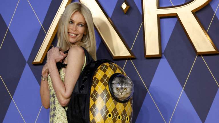 Ένας σταρ που τον λένε Chip: Η αγαπημένη γάτα της Κλόντια Σίφερ έκλεψε την παράσταση