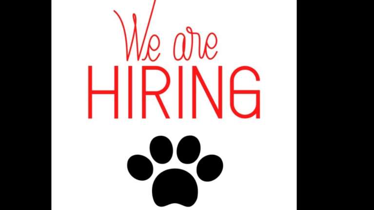 Η Ελληνική Φιλοζωική Εταιρεία στο Κορωπί ζητά φροντιστές  γατιών