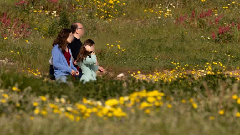 Ανοιξιάτικος ο καιρός σήμερα, στους 20 βαθμούς η θερμοκρασία - Περισσότερη ζέστη και αφρικάνικη σκόνη από Δευτέρα