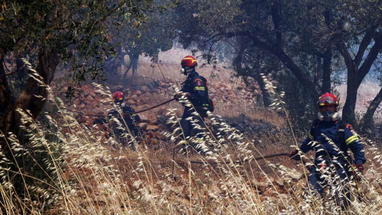 Φωτιές: Πολλές μικρές εστίες στην Άσσηρο Θεσσαλονίκης, συνεχείς αναζωπυρώσεις - Βελτιωμένη η εικόνα στη Δεσκάτη Γρεβενών
