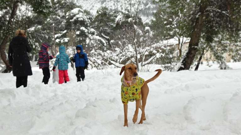 Κολυδάς: Πολλά γυρίσματα του καιρού το επόμενο δεκαήμερο - Πού θα ρίξει χιόνι και θα έχει τσουχτερό κρύο το Σαββατοκύριακο