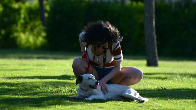 Ζώα συναισθηματικής στήριξης: Σύμμαχοι στην υγεία και την ψυχολογία μας - Πώς μας βοηθούν