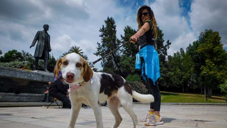 Χρήσιμες συμβουλές για όλα όσα πρέπει να προσέχουμε στη βόλτα με τον σκύλο μας