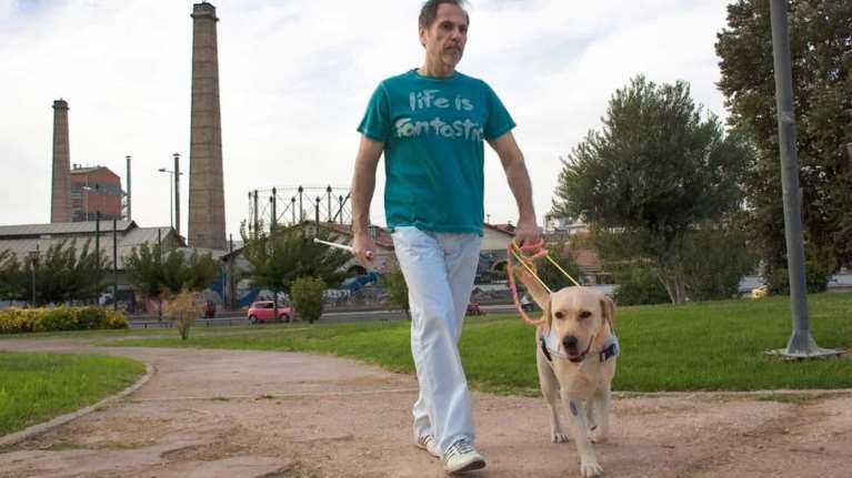 Πέθανε η Μελίττα, ο πρώτος σκύλος οδηγός του Κέντρου Σκύλοι Οδηγοί Ελλάδος  - Την αποχαιρετούν με πόνο καρδιάς