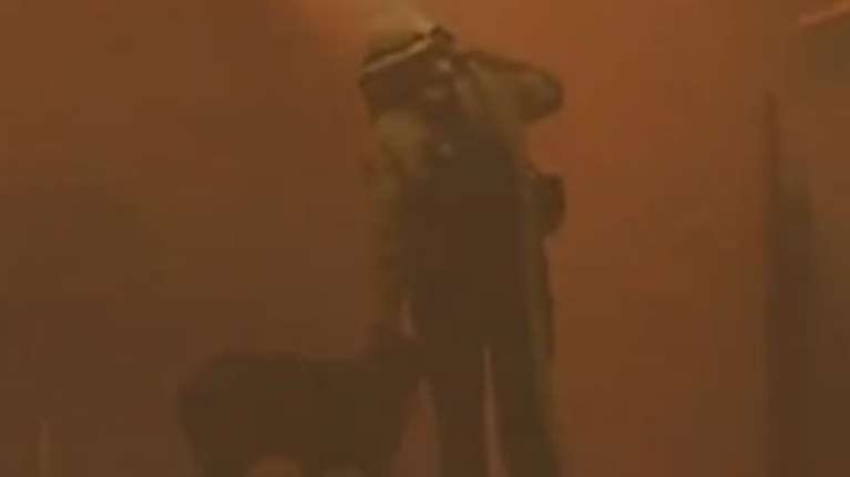 Στην κόλαση του Λος Άντζελες: Σκύλος που περπατά χαμένος ανάμεσα στις φλόγες βρίσκει παρηγοριά σε πυροσβέστη που επιχειρεί