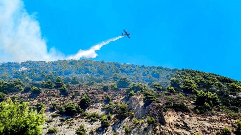 Φωτιά σε δασική έκταση στον Αθέρα Κεφαλονιάς