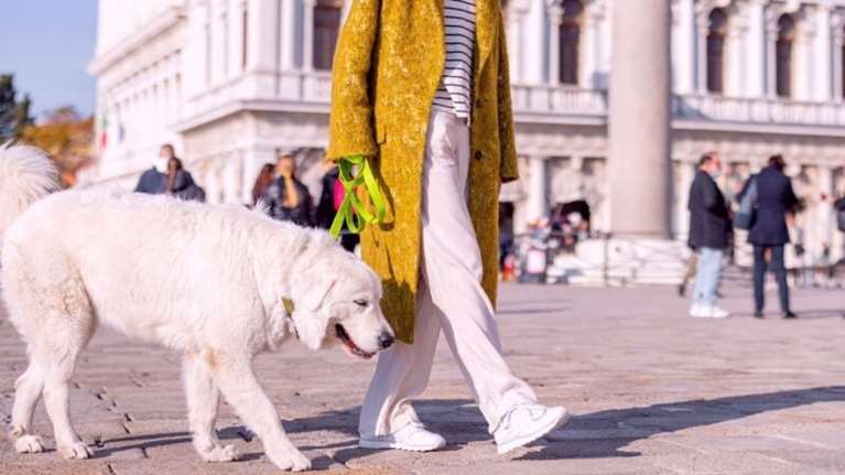 Με DNA θα εντοπίζονται ιδιοκτήτες σκύλων που αφήνουν ακαθαρσίες στον δρόμο