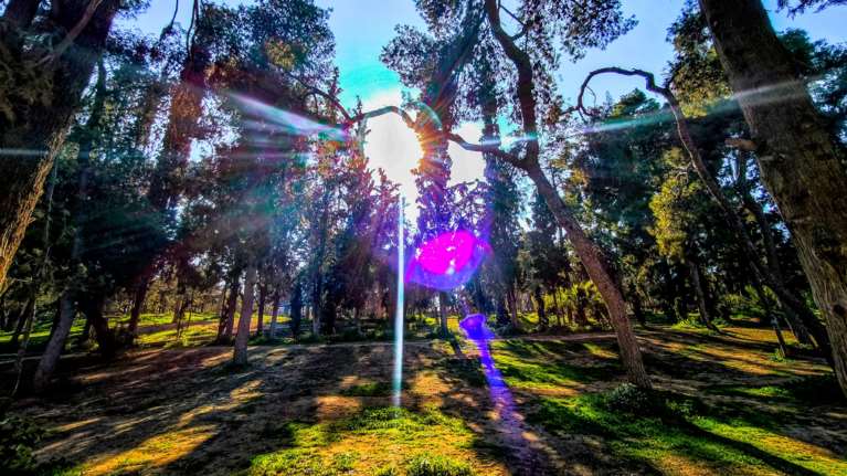 Ανοιξιάτικο ξανά το σκηνικό του καιρού - Στους 20 βαθμούς σκαρφαλώνει η θερμοκρασία σήμερα