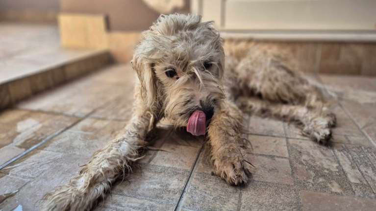 Ο μικρός βρέθηκε να περιφέρεται  δείχνοντας χαμένος - Μια κοπέλα τον είδε και δεν τον προσπέρασε