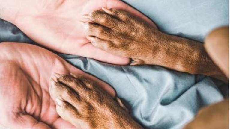 Μιχάλης Στρατάκης: Εχω να σας δηγηθώ μια ιστορία, να σας φανερώσω ένα μυστικό, κατέχουνε το ο Θεός και οι σκύλοι