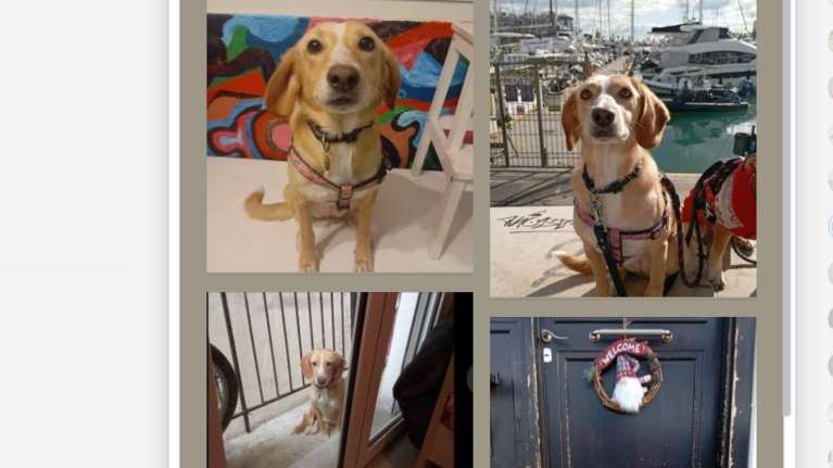 Η κηδεμόνας της αποφάσισε ότι δεν τη θέλει μετά από ενάμιση χρόνο και απείλησε ότι θα τη βγάλει στο μπαλκόνι