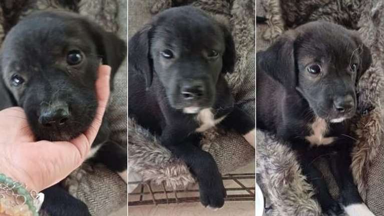 Αυτή η μικρή μπουκίτσα θέλει να κάνει θεαματική εμφάνιση