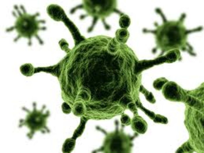 Παγκόσμιος συναγερμός για τον κορονοϊό  MERS