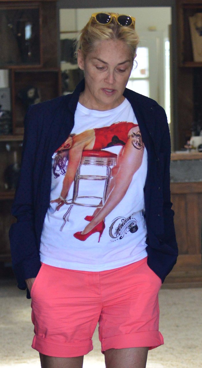 Αναγνωρίζετε τη Σάρον Στόουν χωρίς μακιγιάζ; - εικόνα 2