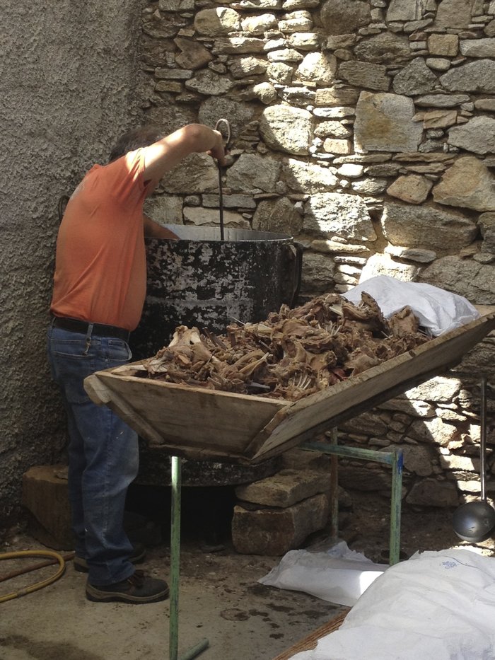 Λαγκάδα Ικαρίας: Στο μεγαλύτερο πανηγύρι του Αιγαίου - εικόνα 7