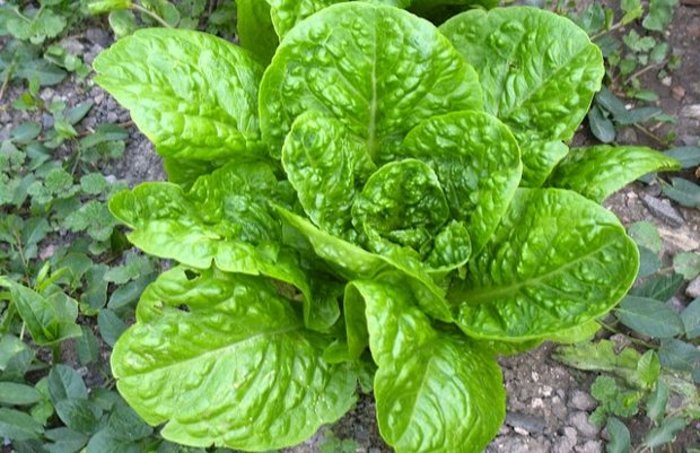 Οι 15 πιο περίεργες προκαταλήψεις στον κόσμο - εικόνα 10