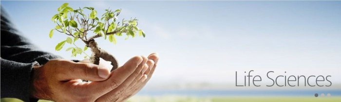 Ο ελληνοαμερικανός που θέλει να φέρει την κάνναβη στην Ελλάδα