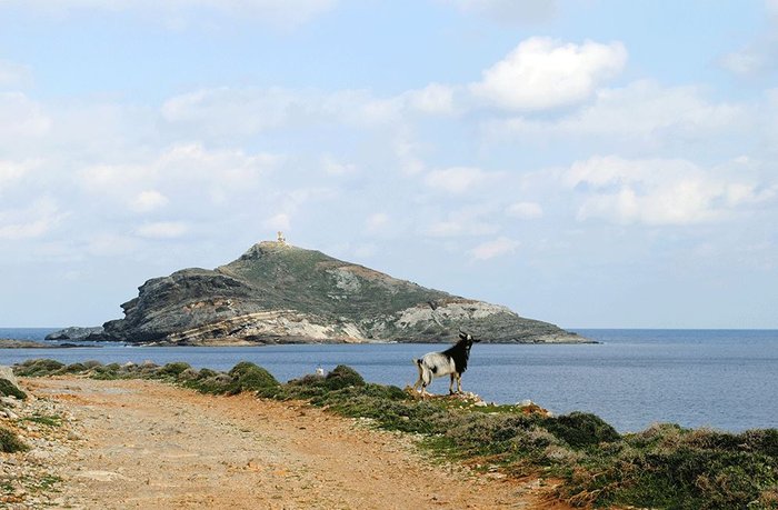 «Eξωμερια TrailRace» στη φθινοπωρινή Τήνο - εικόνα 9