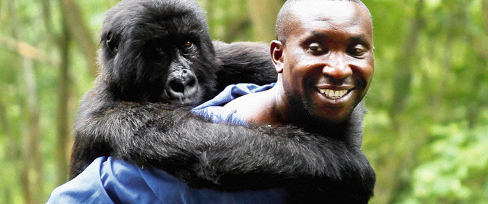 Virunga, εκτέλεση παραγωγής Λεονάρντο ντι Κάπριο