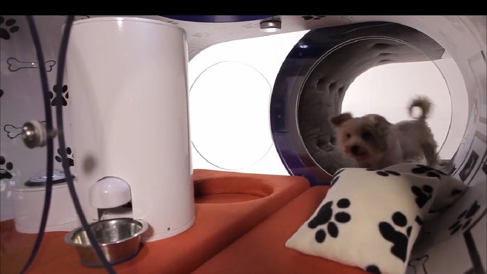 Το πιο High Tech σκυλόσπιτο από τη Samsung είναι σαν διαμέρισμα! - εικόνα 2