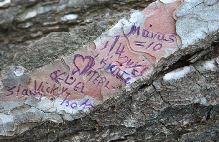 Στη ΓΑΔΑ η Βίκυ Σταμάτη μετά τον εντοπισμό της