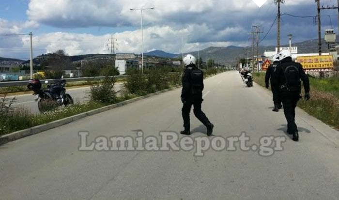 Οι αστυνομικοί της ΔΙΑΣ κυνηγούν αγελάδες στην εθνικό οδό Αθηνών-Λαμίας - εικόνα 6