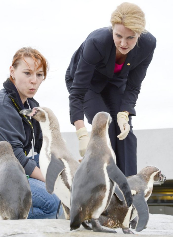 Sex and the Gucci: Ολα για τη δανέζα πρωθυπουργό Χέλε Τόρνινγκ Σμιτ - εικόνα 4