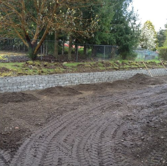 Ο κήπος της ήταν άσχημος και βαρετός, αλλά δείτε πώς τον μεταμόρφωσε!