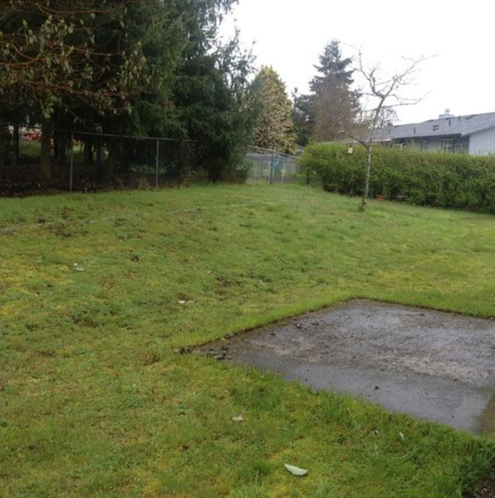 Ο κήπος της ήταν άσχημος και βαρετός, αλλά δείτε πώς τον μεταμόρφωσε! - εικόνα 2