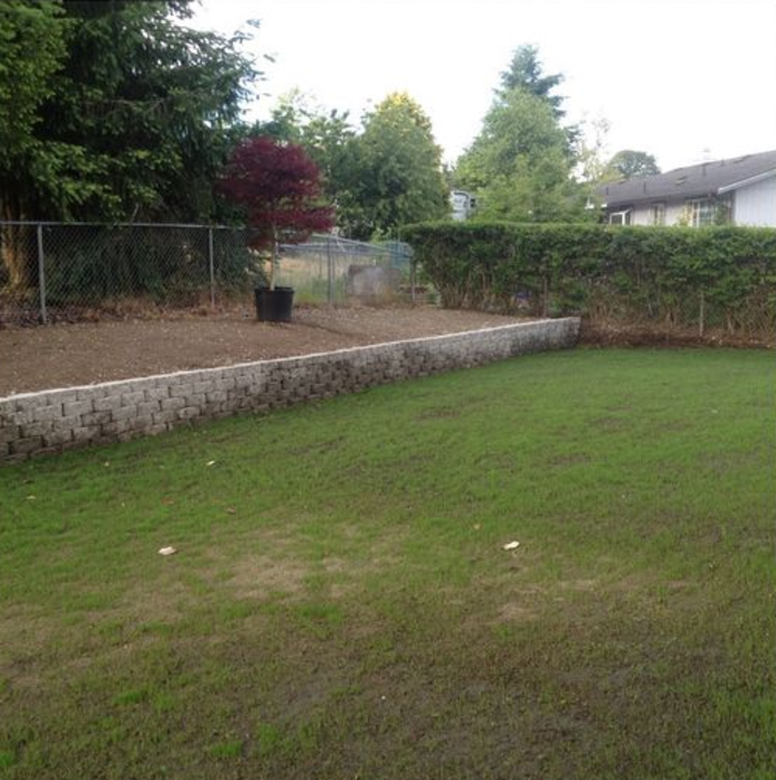 Ο κήπος της ήταν άσχημος και βαρετός, αλλά δείτε πώς τον μεταμόρφωσε! - εικόνα 3