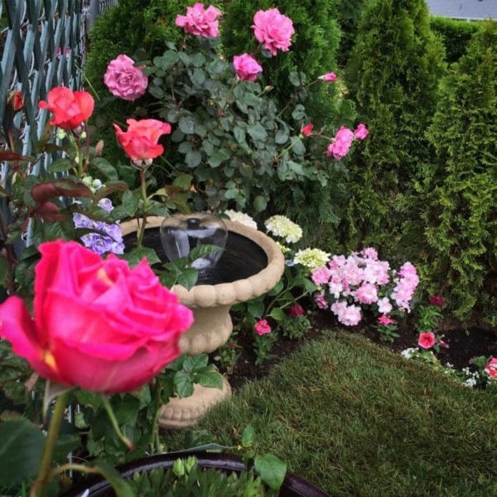 Ο κήπος της ήταν άσχημος και βαρετός, αλλά δείτε πώς τον μεταμόρφωσε! - εικόνα 9