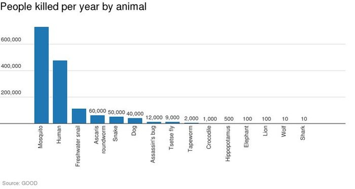 Ποιό είναι το πιο φονικό ζώο στον πλανήτη;