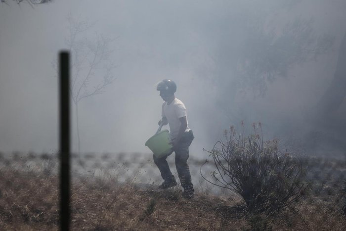 Συνεχίζεται η μάχη με τις φλόγες ενώ πέφτει η νύχτα - εικόνα 4