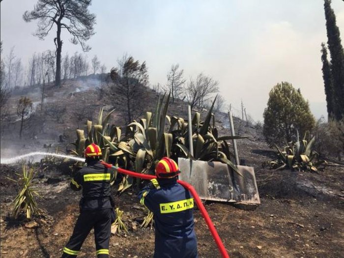 Εικόνες σοκ: Οι στάχτες του Καρέα μετά την πύρινη λαίλαπα - εικόνα 20