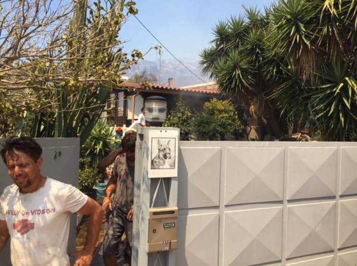 Εικόνες σοκ: Οι στάχτες του Καρέα μετά την πύρινη λαίλαπα - εικόνα 22