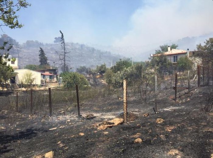 Εικόνες σοκ: Οι στάχτες του Καρέα μετά την πύρινη λαίλαπα - εικόνα 23