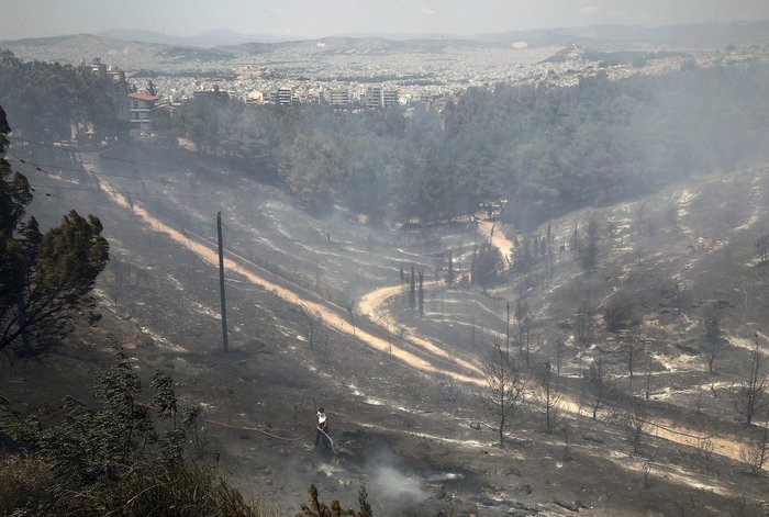 Εικόνες σοκ: Οι στάχτες του Καρέα μετά την πύρινη λαίλαπα